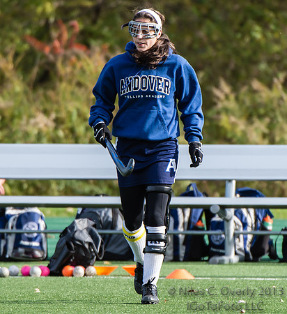 ANDVFH13vDEER-2
