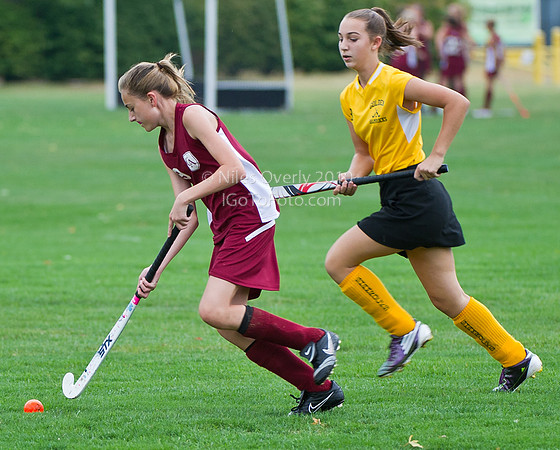 CAMSFH10vGS-19