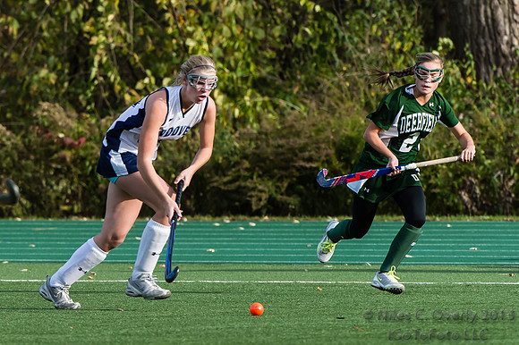 ANDVFH13vDEER-149