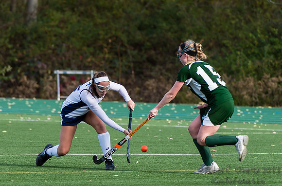 ANDVFH13vDEER-355