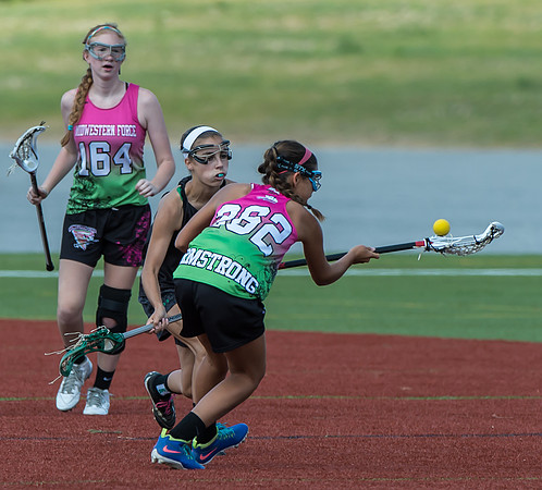 MFLBL17CHCUP14-101