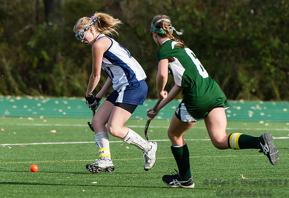 ANDVFH13vDEER-196