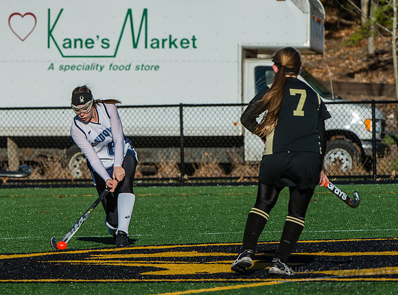ANDVFH13vWEST-483