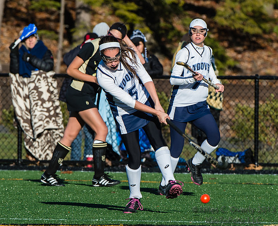 ANDVFH13vWEST-503