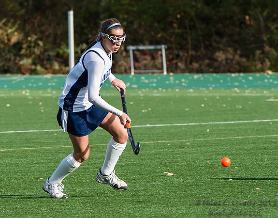ANDVFH13vDEER-202