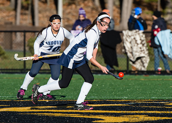 ANDVFH13vWEST-838