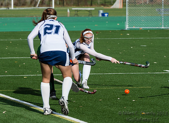 ANDVFH13vDEER-91