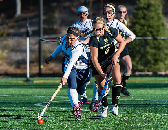 ANDVFH13vWEST-234