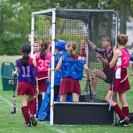 CAMSFH10vGS-2