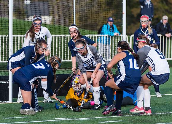 ANDVFH13vNOBLES-515