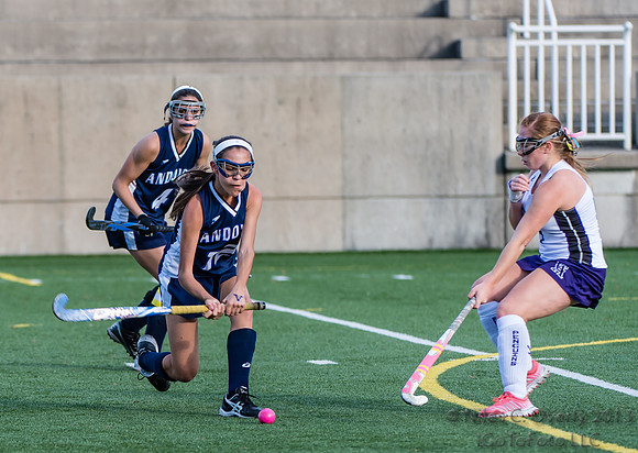 ANDVFH13vCUSH-387