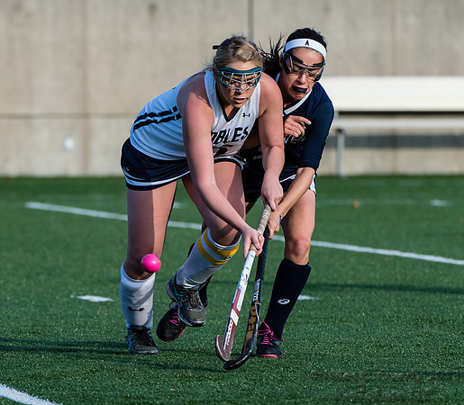 ANDVFH13vNOBLES-460