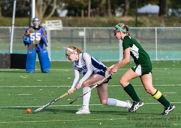 ANDVFH13vDEER-243