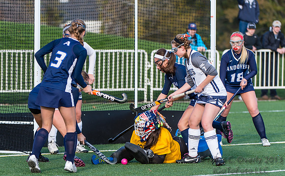 ANDVFH13vNOBLES-510