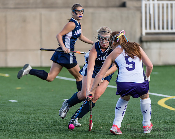 ANDVFH13vCUSH-457