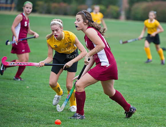 CAMSFH10vGS-14